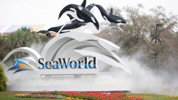 La iniciativa de SeaWorld es gratuita para los visitantes con la entrada al parque.