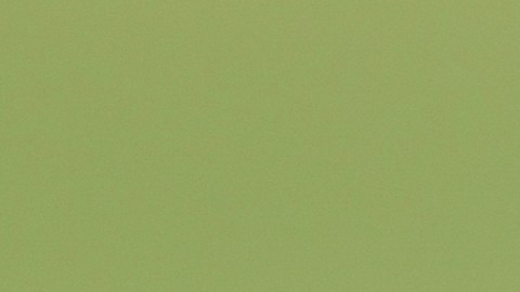 Hasta 19 latinos figuran entre los nominados al premio Guante de Oro de las Grandes Ligas