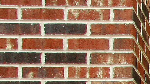 Decoración Halloween