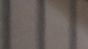 Inundación casa Nueva York