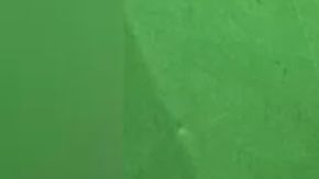 La silla de ruedas y la cocaína. Gobierno de Hong Kong.