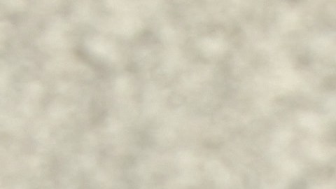 Luis Rubiales tuvo que renunciar a su cargo como presidente de la RFEF.