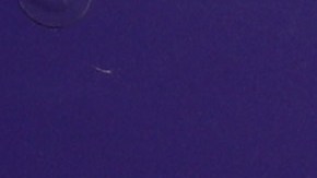 Qatar retira oferta de $5,900 millones de dólares por Manchester United e Ineos compra 25% del club 