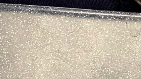 El hispano fue acusado de posesión de armas por porra y de suplantación de identidad criminal.