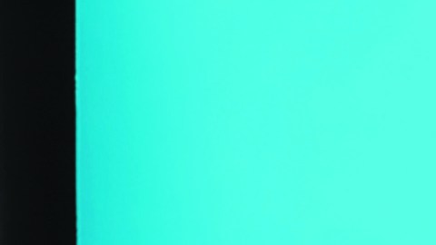 Radhy Miranda Headshot