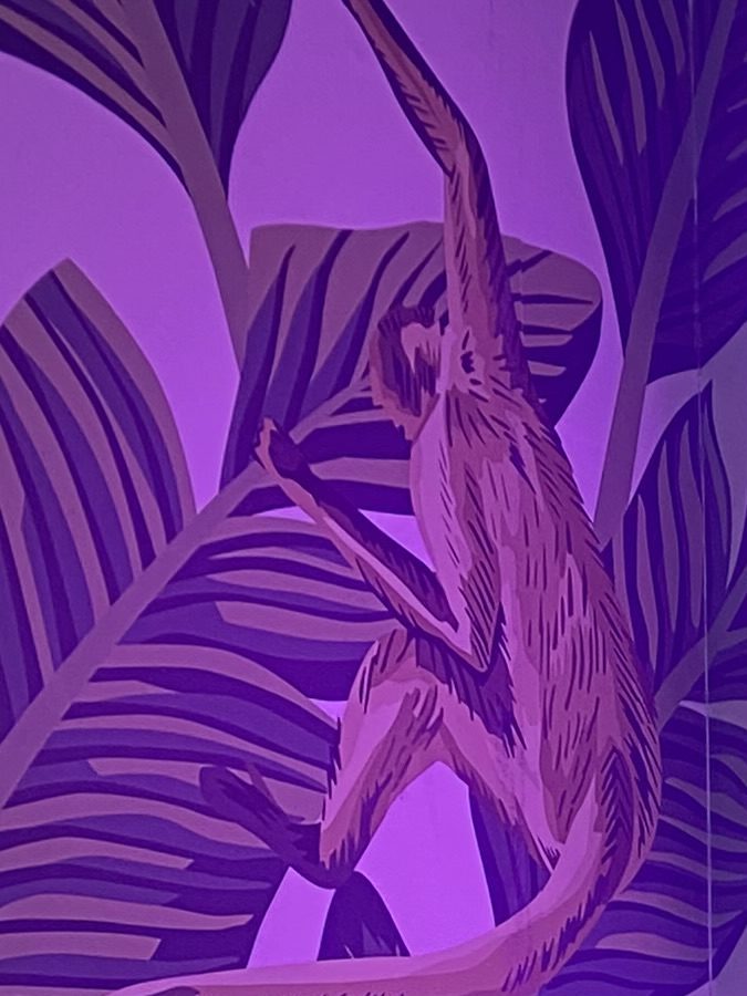 El español se escucha en los rincones de este territorio estadounidense