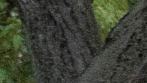 Samantha Woll, presidenta de sinagoga.