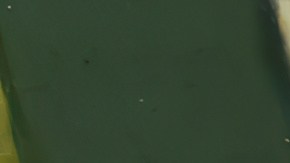 Exfoliación pies peces