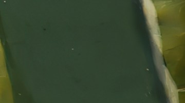 Exfoliación pies peces