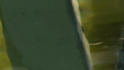 Exfoliación pies peces