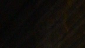 La modelo Demi Rose.