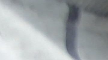 Conflicto entre Israel y Palestina