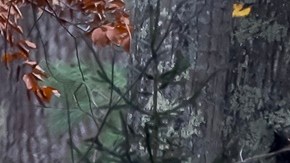 No significa que pasó el peligro: levantan orden de refugio en Maine, pero tiroteador sigue prófugo