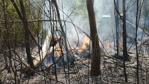 Doce personas mueren por la caída de una avioneta en la Amazonía brasileña.