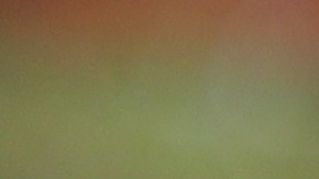 dunkin-donuts-cafe-demanda-atlanta