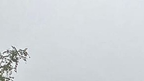 Daños graves en carreteras de Guerrero.