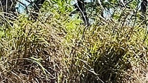 Migrante haitiano murió ahogado en el río Bravo al tratar de cruzar a Estados Unidos