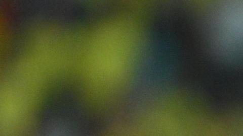 Richarlison de Brasil reacciona en el partido entre Brasil y Venezuela.
