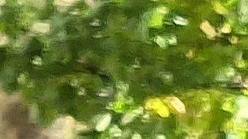 La quisqueyana Mery Verdeja, progenitora del joven asesinado en 2019, exigió este martes a la Ciudad que no frisen las investigaciones.