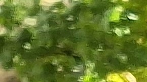 La quisqueyana Mery Verdeja, progenitora del joven asesinado en 2019, exigió este martes a la Ciudad que no frisen las investigaciones.