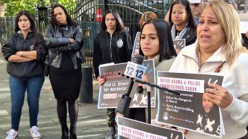 La quisqueyana Mery Verdeja, progenitora del joven asesinado en 2019, exigió este martes a la Ciudad que no frisen las investigaciones.
