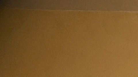 Esta celebración contó historias de migración, talento y constancia.