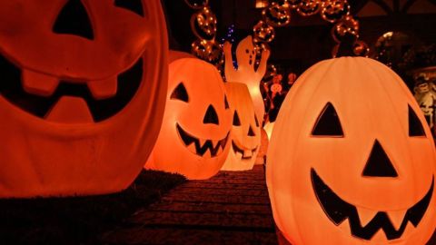 Viajar en avión en Halloween conlleva respetar ciertas reglas.