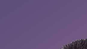 Los neoyorquinos podrán disfrutar del espectáculo Tito Nieves & Friends, el sábado 21 de octubre.