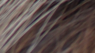 loteria-maryland-400-dolares