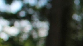 mujer agrede a estudiantes