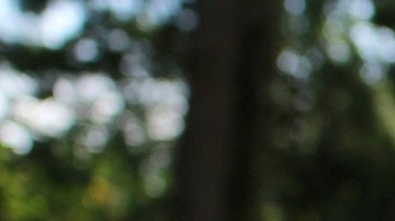 mujer agrede a estudiantes