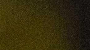 pizzeria-buffet-cliente