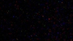 seguro-social-bill-clinton-hillary-clinton