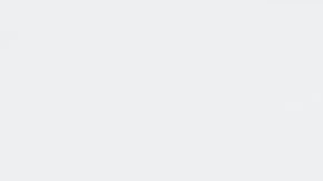 Alimentos fermentados