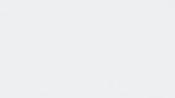 Alimentos fermentados