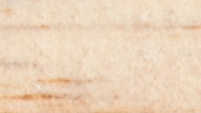 Semillas de calabaza