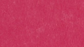 Proyecto Gastronómico