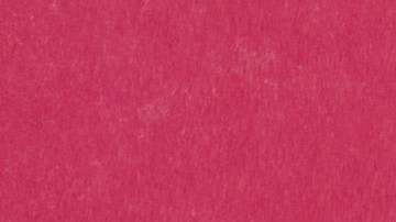 Proyecto Gastronómico