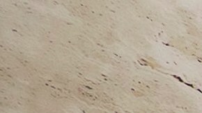 En marzo de 2022, Restaurant Brands International (RBI), la empresa que posee el 15% de las franquicias de Burger King anunció su retiro de Rusia