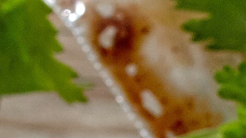 Pollo marinado