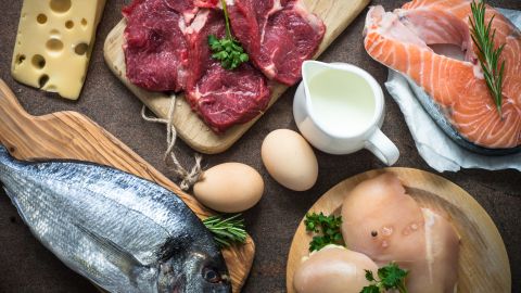 Alimentos Metabolismo