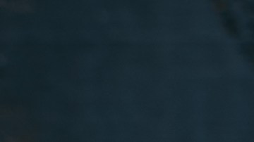 Salsa de mostaza picante