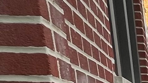 La Concejal Tiffany Cabán es una de las latinas que tiene contendor en los comicios de este 7 de noviembre