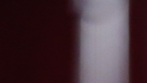 Carlos Adyan se casó hace casi un mes con Carlos Quintanilla.