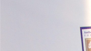 La periodista Myrka Dellanos relató lo que vivió al llegar a México.