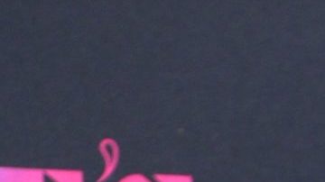 Carolina Sandoval cumplió 50 años el pasado 24 de noviembre.