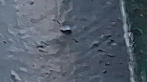 Todo indica que se registró una "explosión" de masajistas en la transitada via de Queens desde este verano.