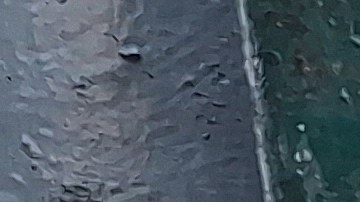 Todo indica que se registró una "explosión" de masajistas en la transitada via de Queens desde este verano.