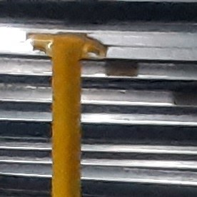 Pasajero en bus MTA de Nueva York.