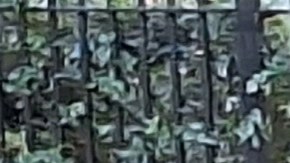 Más de 6 millones en el país viven con esta enfermedad, los latinos tienen un 50% más probabilidades que los no hispanos de desarrollarla